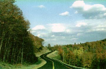 photo of a tree lined road in Bethel, Vermont