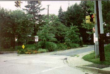 photo: intersection with a median with plants