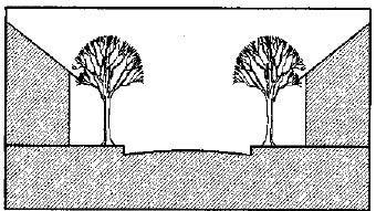 drawing of a roadway with a tree on the left and right