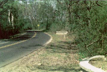 photo of Rural highway with no shoulder and vegetation along the roadway.