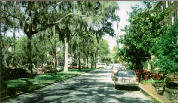 photo: street with cars parked on the right and a tree-lined grassy median on the left
