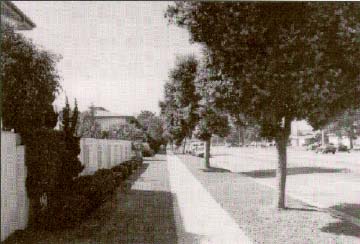 photo: tree lined street with sidewalk, wall, and grassy areas