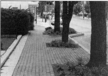 photo: brick sidewalk with trees and landscaping