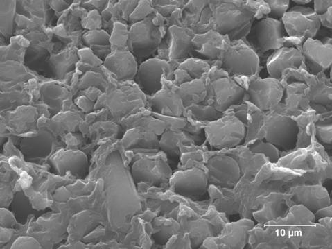 Figure 2.2.1-11 Scanning Electron Micrograph Showing Cross-Section and Wet-out of Nylon/Carbon Composite Plate Processed under VARTM (2500 X)