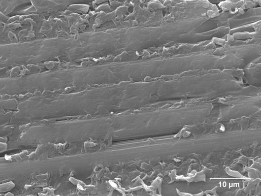 Figure 2.2.1-13 Scanning Electron Micrograph Showing a Section Parallel to the Fibers and the Wet-out of Nylon to E-glass Composite Plate Processed under VARTM (2500X)