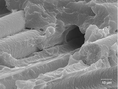 Figure 2.2.3.2-13 SEM normal to the fracture surface showing fiber pullout, matrix crazing and fiber fracture