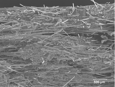 Figure 2.2.3.2-14 SEM normal to the fracture surface of sample 020919-1-39b after an OVBOI Test