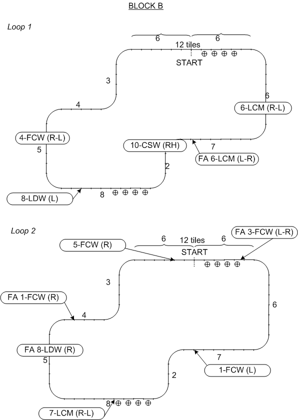 Figure 101. Block D (distracted) scenario sequence