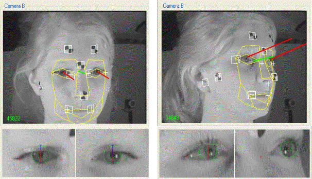 Figure 111 . Example head and eye tracking models (Long red line = gaze direction, short green line = head direction)