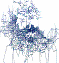 Regional network/metropolitan area