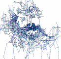 Subregional network